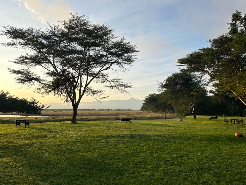 Day Three: Back to&nbsp;Nairobi