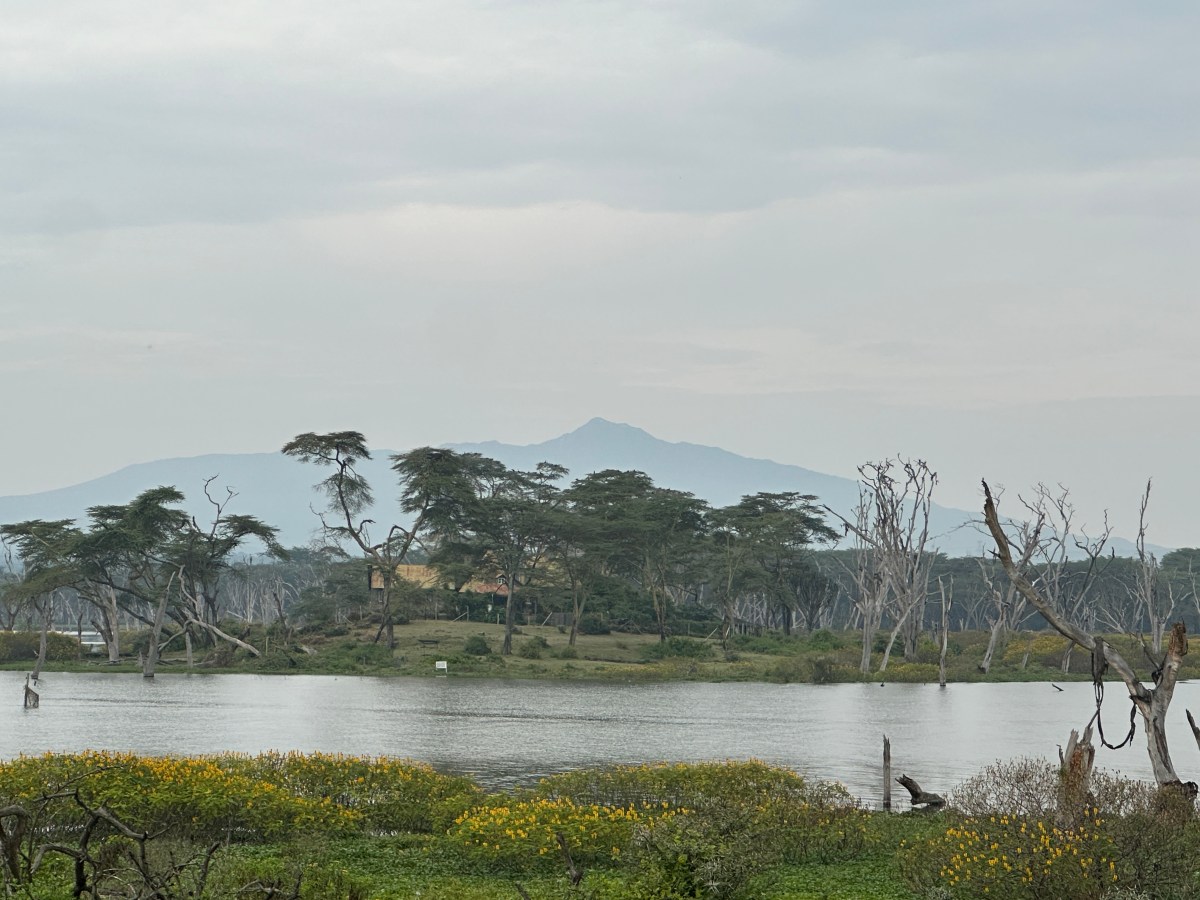Monday and Tuesday: Lake Naivasha and Crescent&nbsp;Island