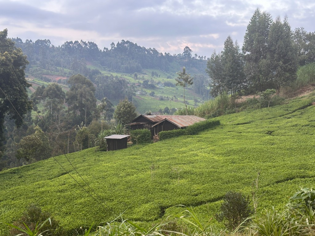 Thursday: Out to the Central&nbsp;Highlands